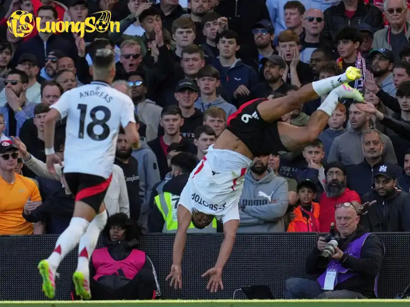 Fulham chuẩn bị cho trận đấu